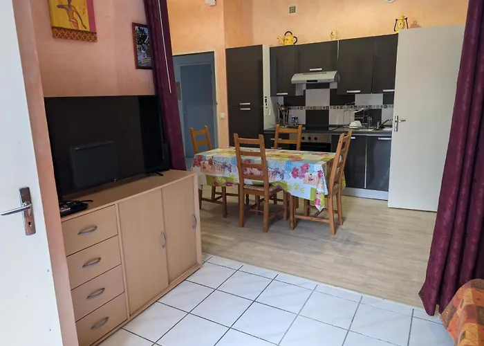Appartement De Plain Pied , Jardin Et Grande Terrasse